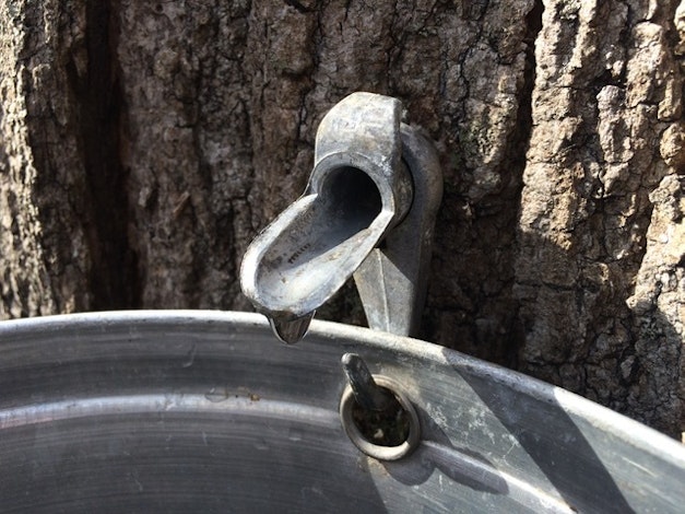 C15de5105203 IMG 4322