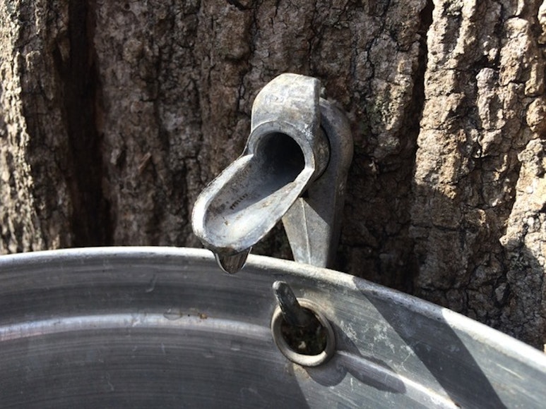 C15de5105203 IMG 4322