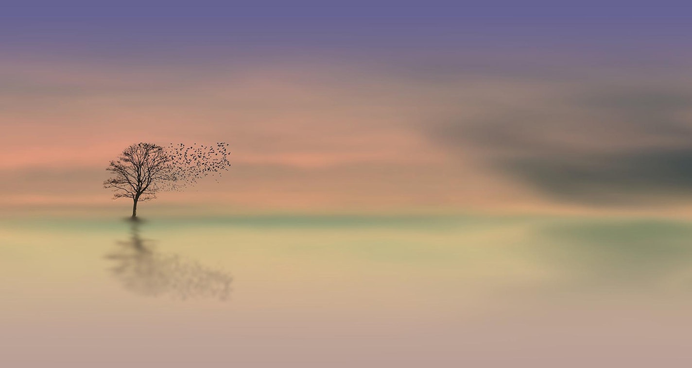 Blooming Through Loss: Tending to Grief with the BloomPath