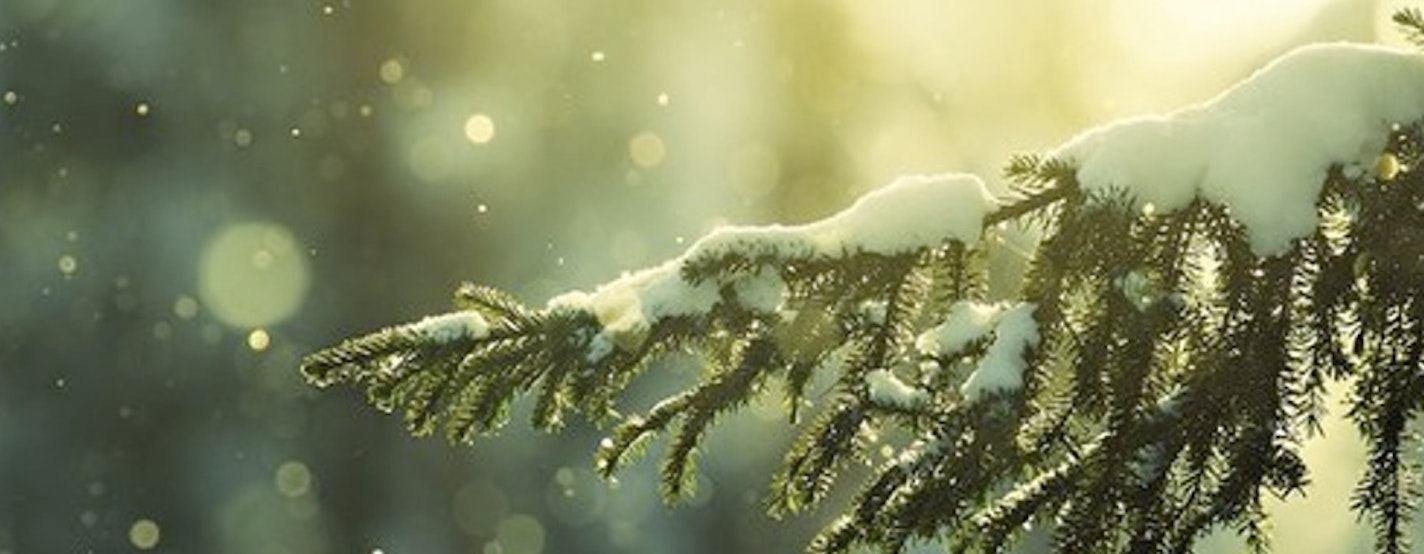 Navigating the Holidays Workshop