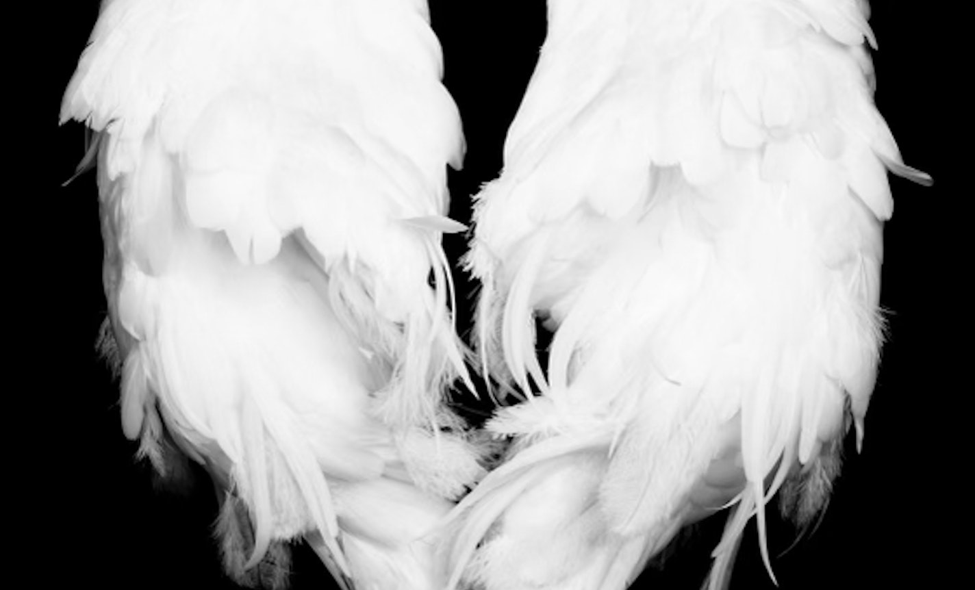 Altar of Kinship: grief + mourning as a creative act