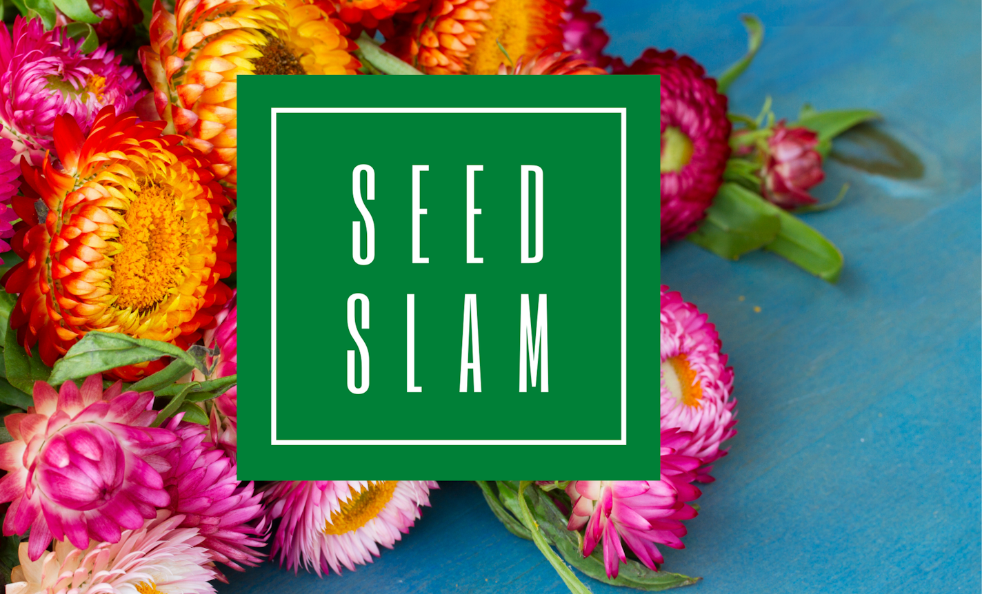 Seed Slam