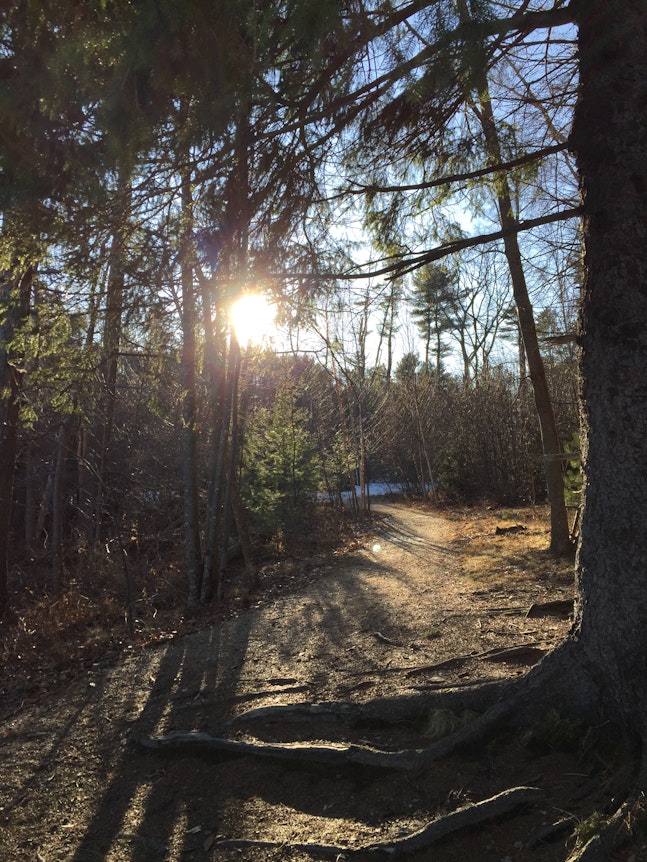 Settle Your Nervous System...and do what you’re here to do