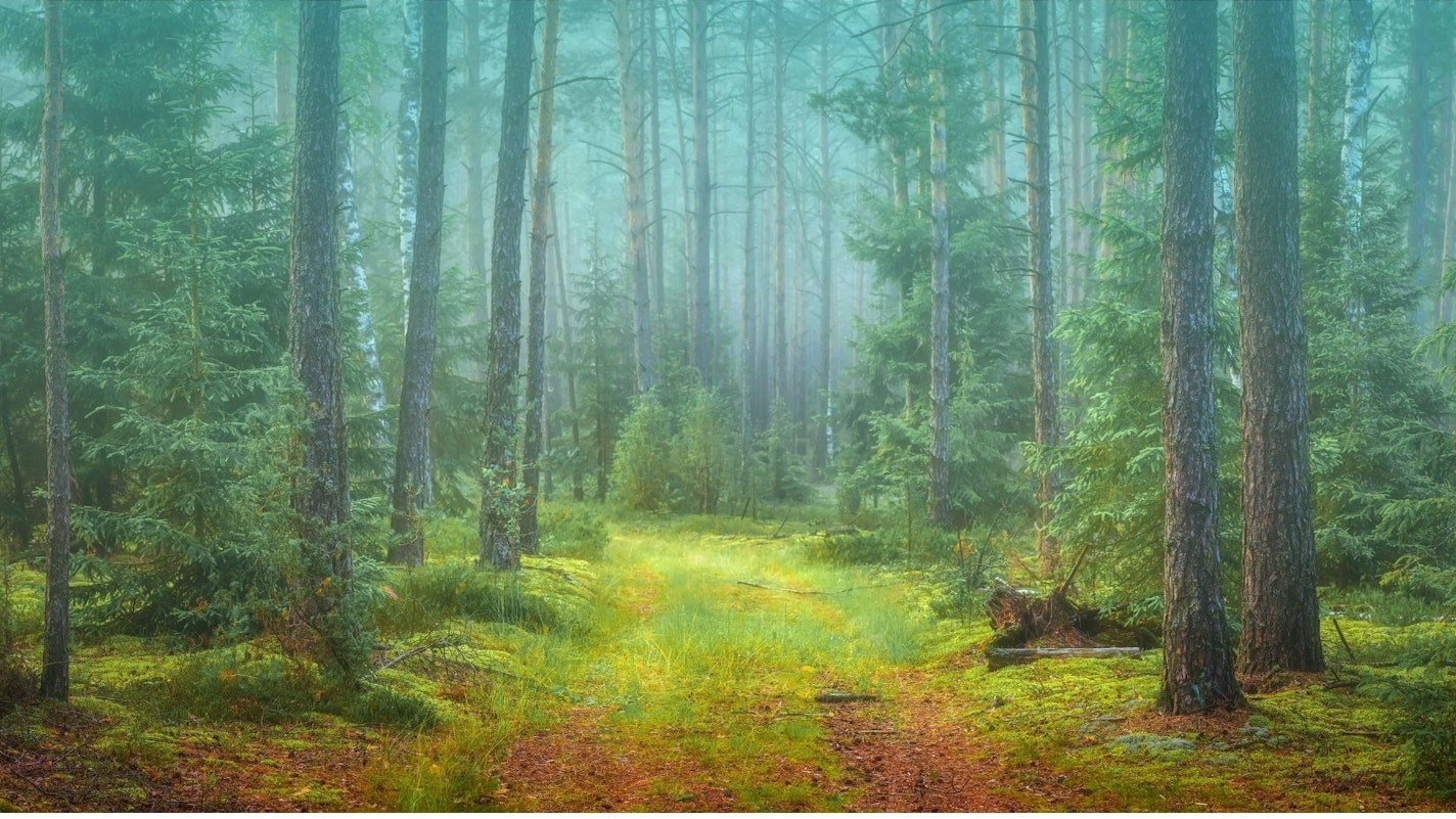 Workshop - How Do You Want to Feel in 2026?