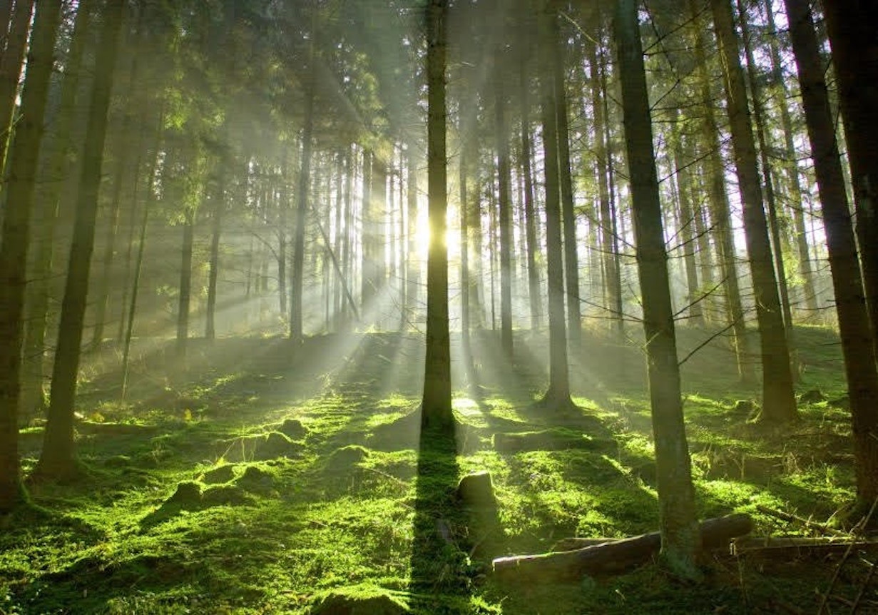 Building a New Tomorrow:Exploring Grief & Building Community