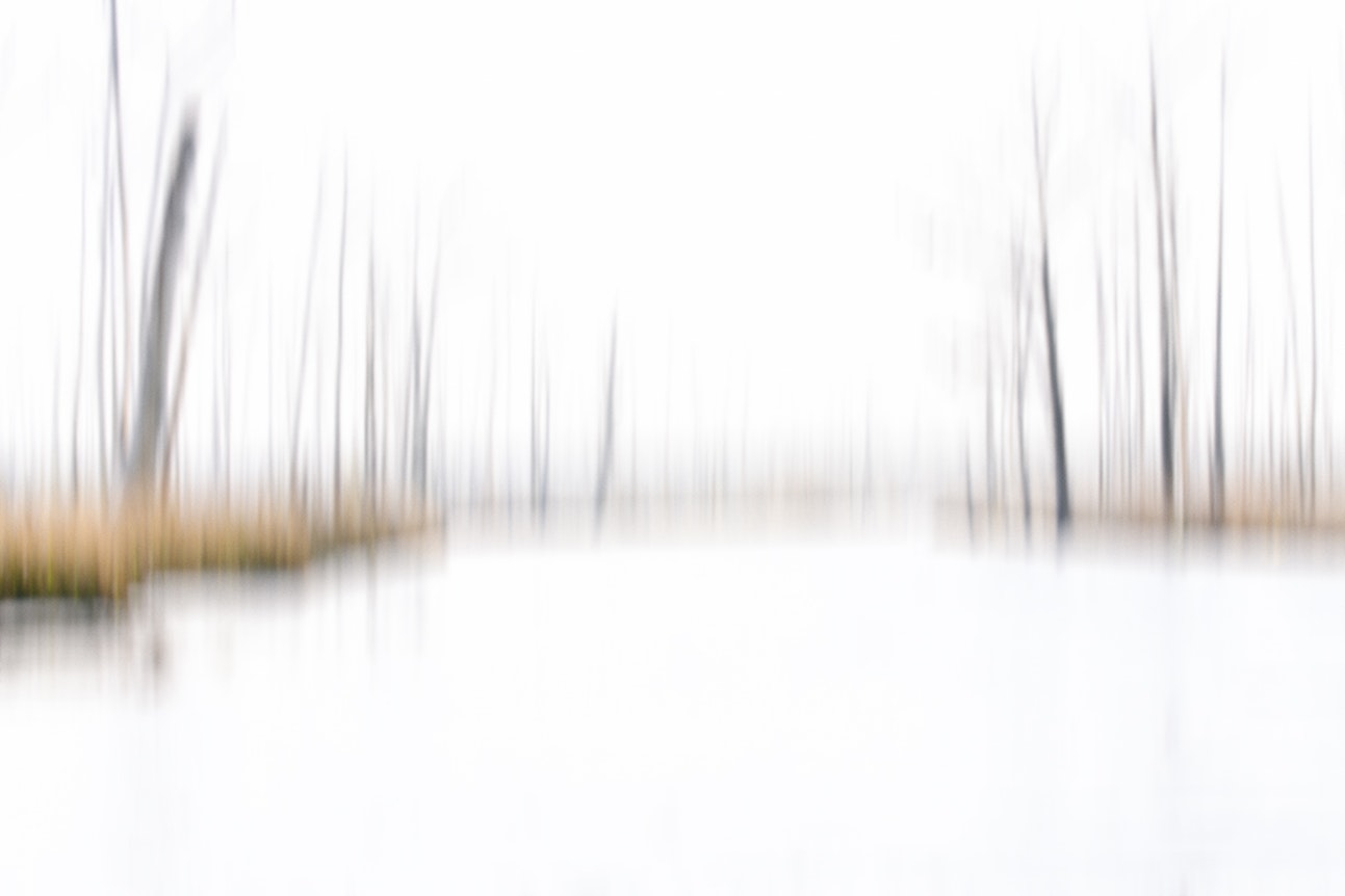 Ecological Grief: Practice & Presence with the Living World