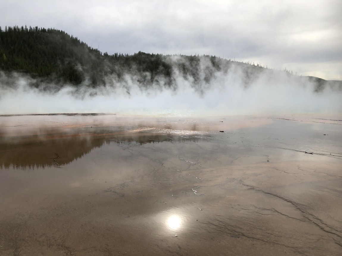 The pervasiveness of Scarcity, with empathy and movement