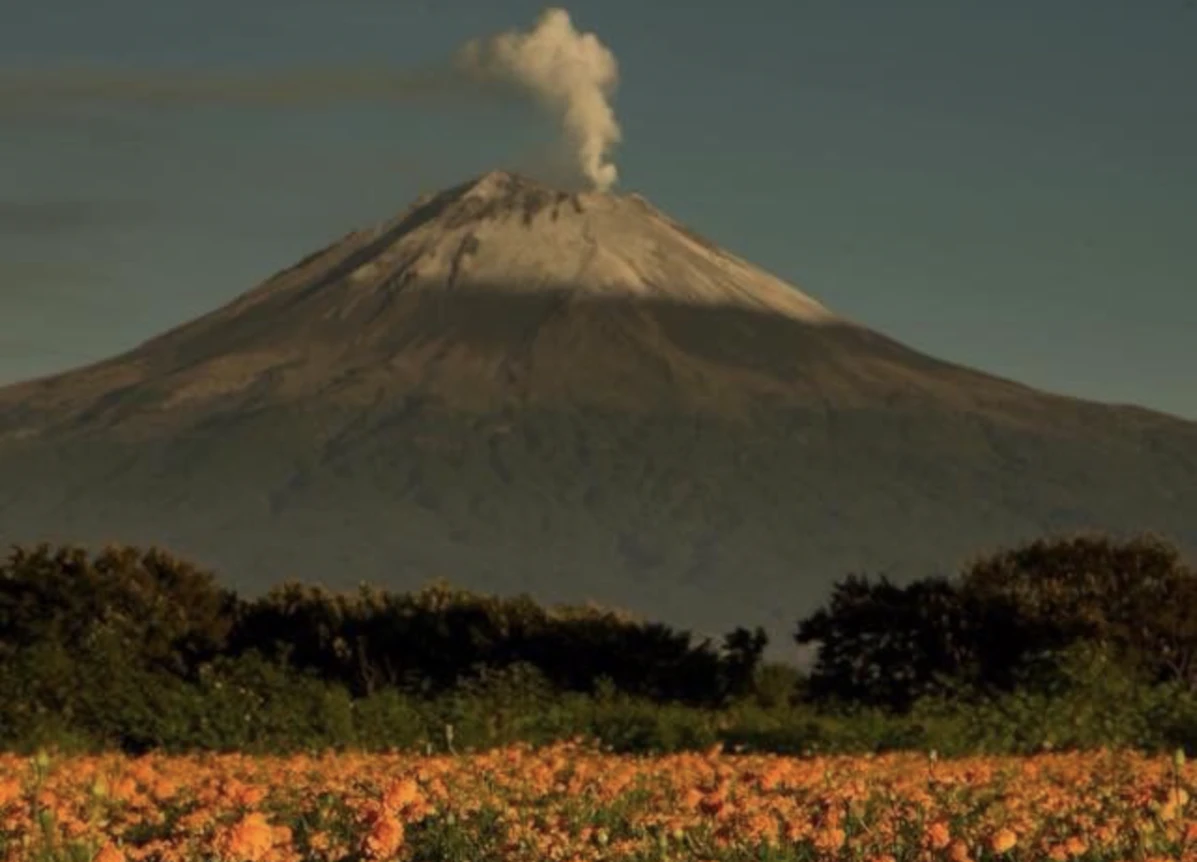 THE FLOWERS OF OUR ANCESTORS