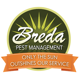 Breda Pest Management