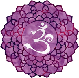 Rosa Albus Yoga & Herbal Apothecary