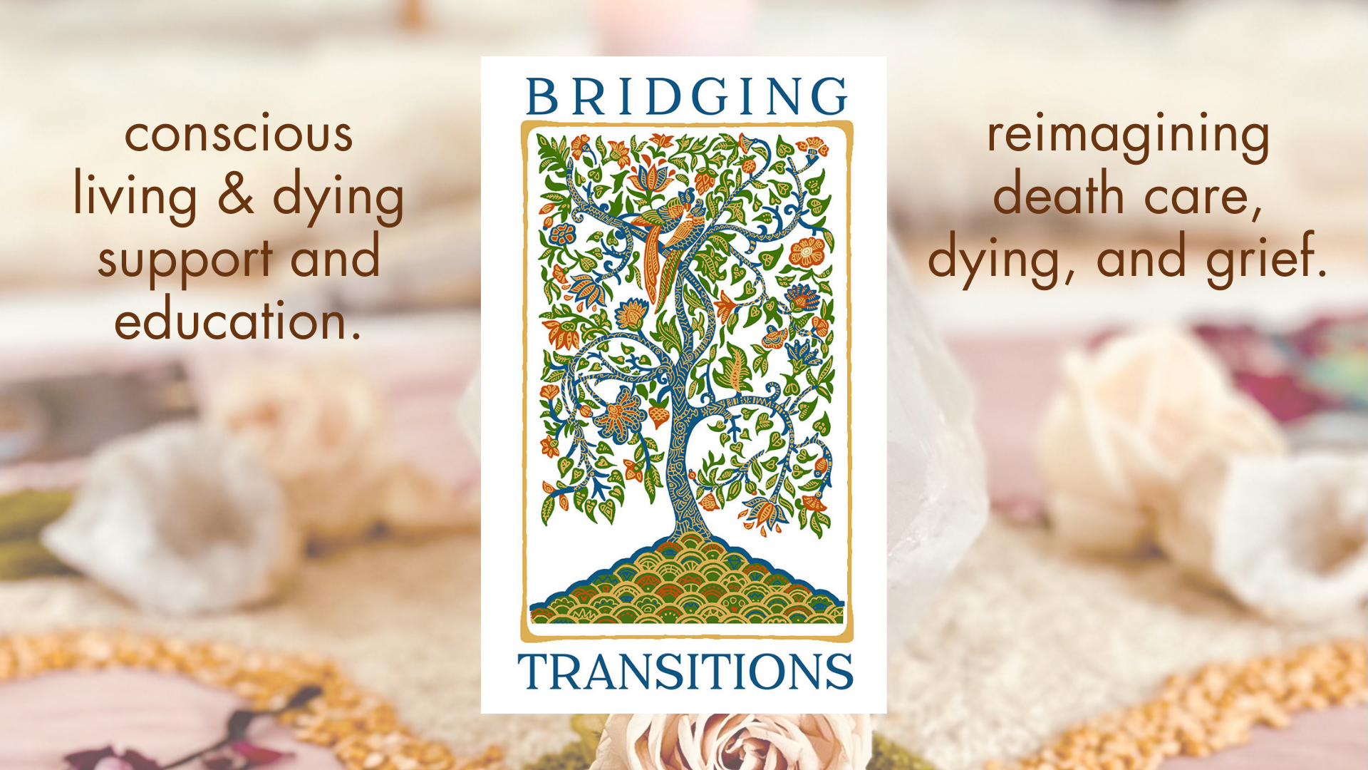 Bridging Transitions