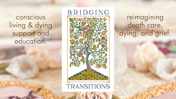 Bridging Transitions