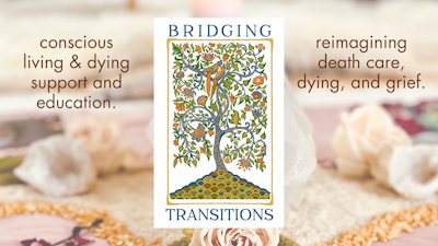 Bridging Transitions