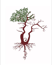 Taproot Journeys