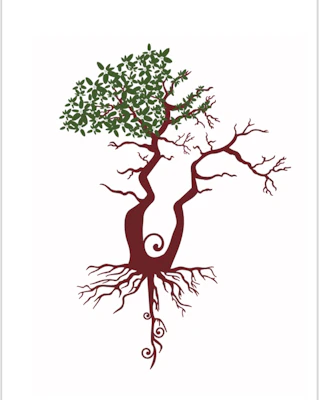 Taproot Journeys