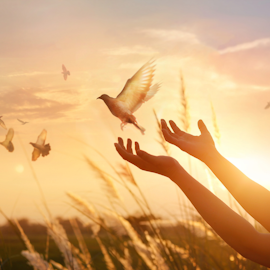 The Art of Dying Institute at New York Open Center